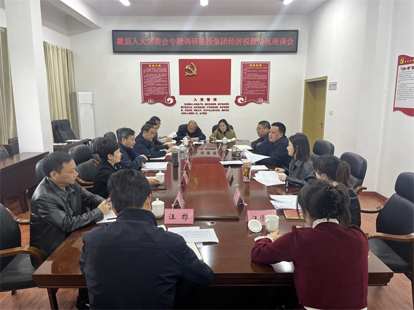 4月7日，縣人大常委會(huì)主任梅代軍帶隊(duì)專題調(diào)研徽投集團(tuán)經(jīng)濟(jì)稅源情況，集團(tuán)洪董、葉總、方總參加調(diào)研座談。.jpg
