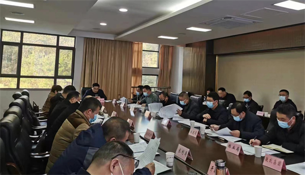 12月14日，王奇勇縣長主持召開望豐項(xiàng)目工作專班推進(jìn)會(huì).jpg