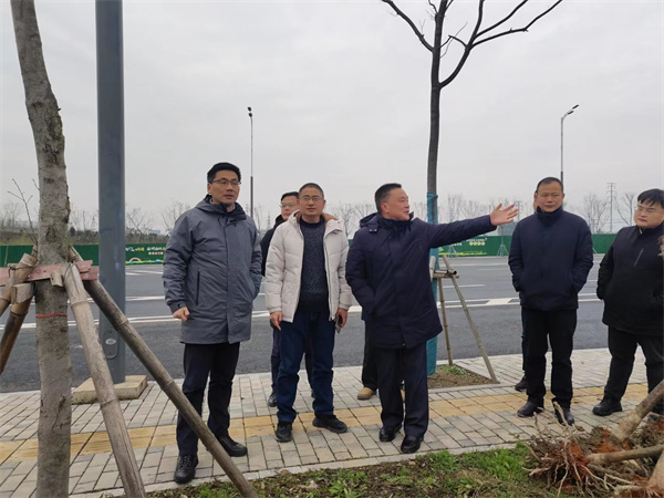 2月14日，洪董陪同王奇勇縣長一行督導衛(wèi)拍地塊.jpg