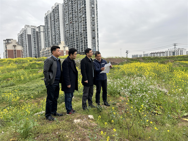 3月29日，張總陪同汪盛縣長調(diào)度揚之學(xué)校征地.jpg